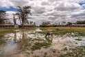 103 Amboseli Nationaal Park